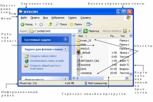 Window in Windows XP