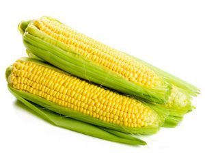 Sweet corn