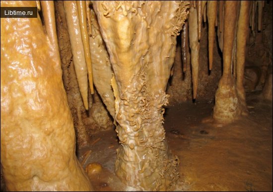Helictitis