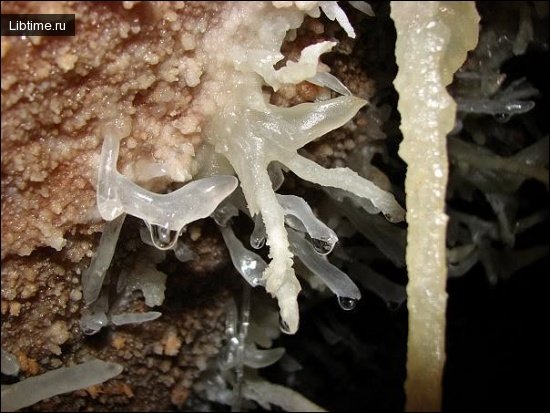 Helictitis