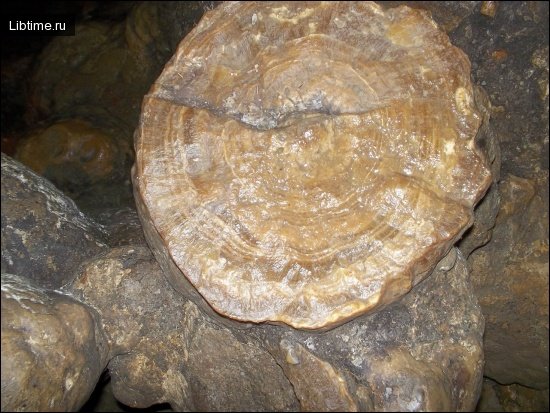 The structure of a stalactite