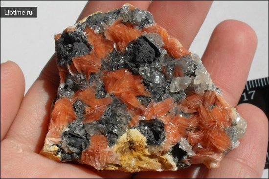 Cerussite+barite+sphalerite+galenite