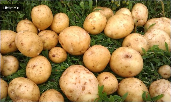Польза картофеля
