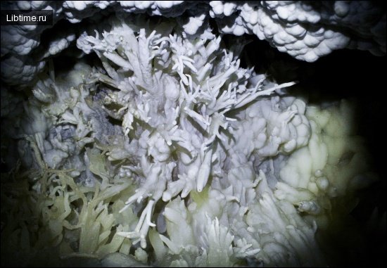 Helictites of the Optimistic Cave