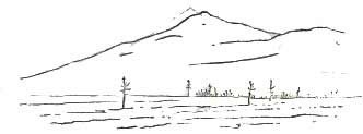 Контурный рисунок (Сихотэ-Алинь)