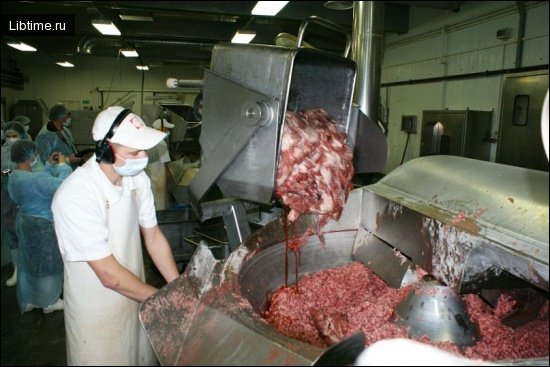 Обладнання для переробки продукції тваринництва