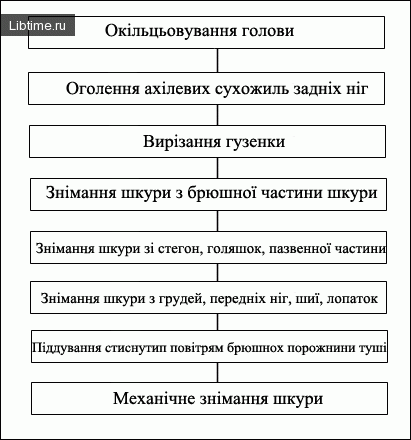 Diagram of the sequence of operations during hide removal from pig carcasses