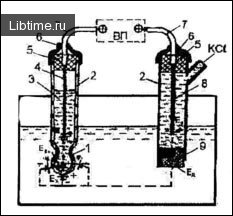 Devices for measuring the concentration of hydrogen ions