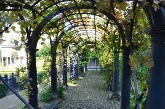 Pergola