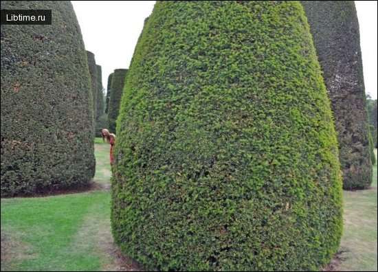 Park of England