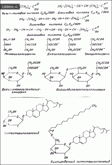 Lipids