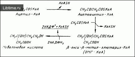 Biosynthesis of carotenoids