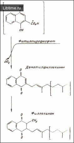 Phylloquinone synthesis