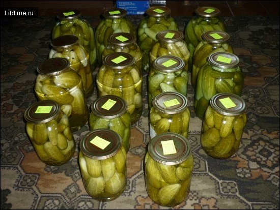 Огурцы маринованные вкусные
