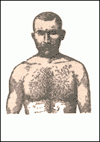 Rudimentary chest hair in men