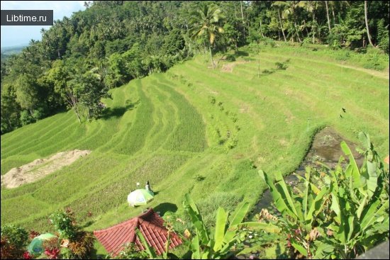 Terraces