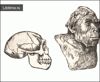 Sinanthropus skull and its bust