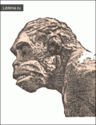 Fossil human