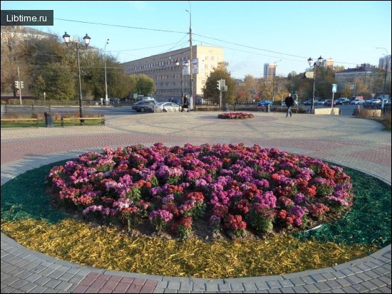 Flower bed