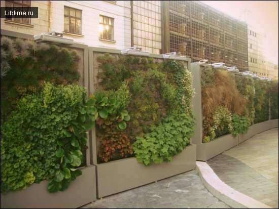 Vertical landscaping