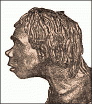 Head of a Neanderthal child