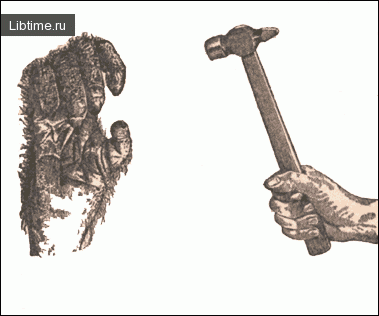 Orangutan and human hand