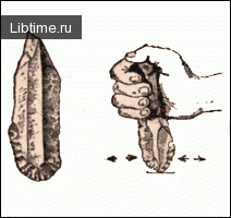 Flint cutter from the Paleolithic era