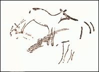 Depiction of animals in the Altamira caves (Spain)