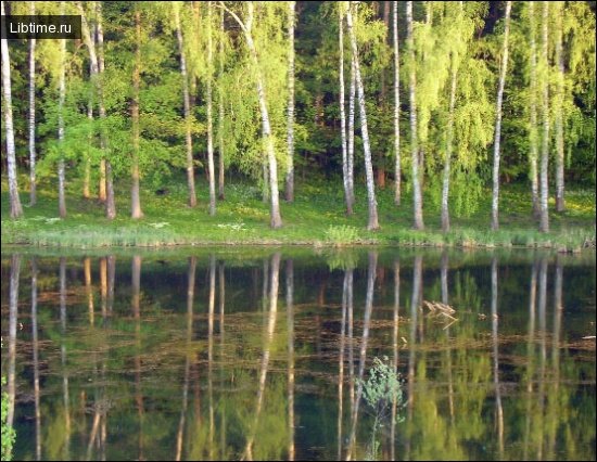 Lake in the park