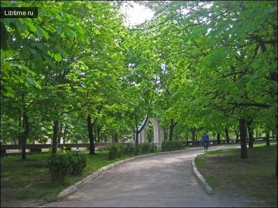 Озеленення територій лікарень