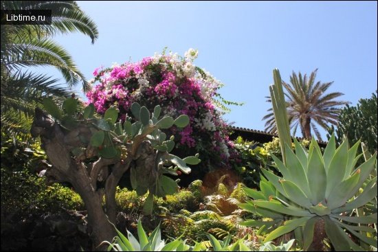 Botanical park