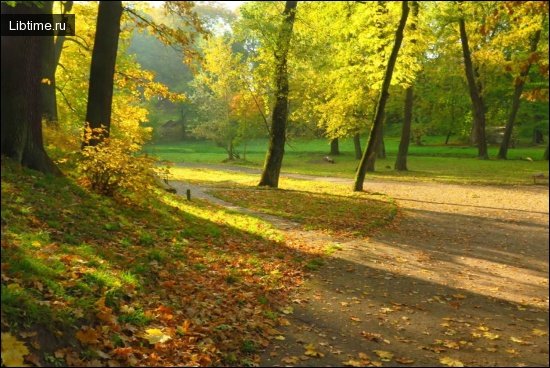 Багатофункціональні парки