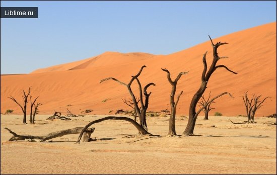 In the desert