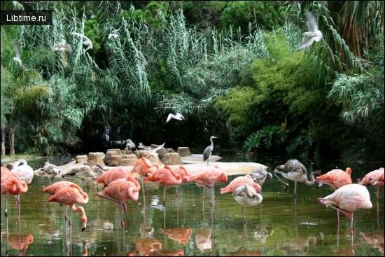 Zoological park