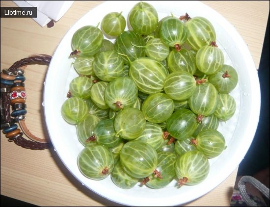 Gooseberry