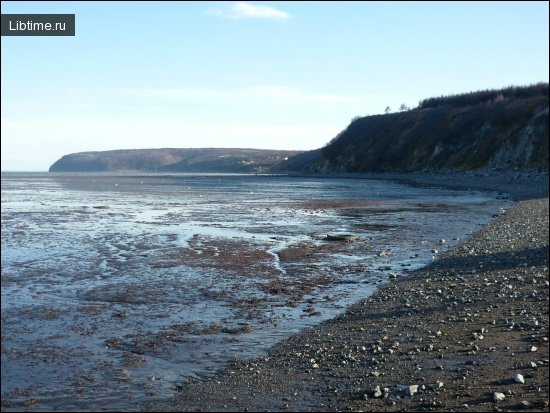 Low tide. Gertner Bay