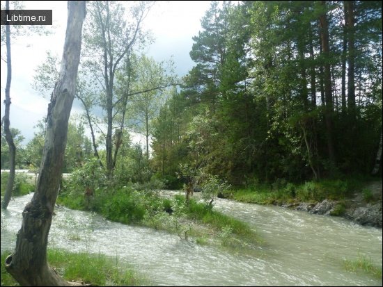 The river overflowed its banks