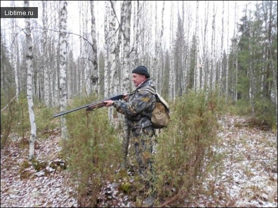 Сезон охоты на зайца