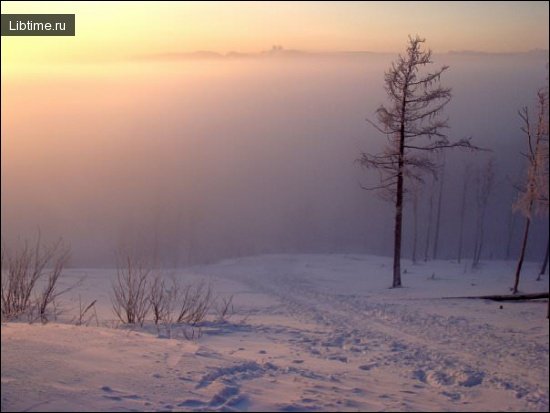 White trail