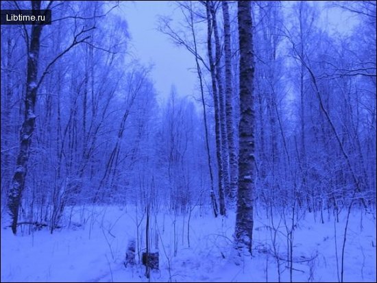 Погода для охоты