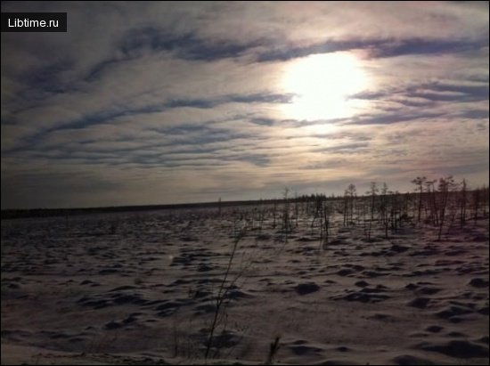 North Pole