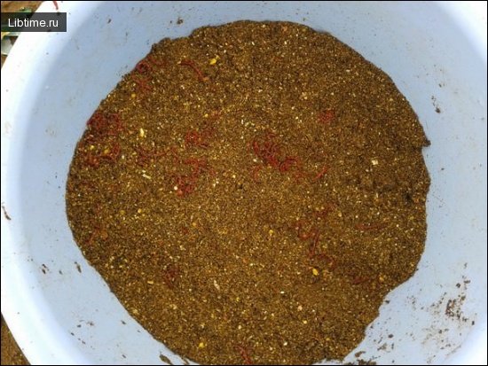 Bream bait