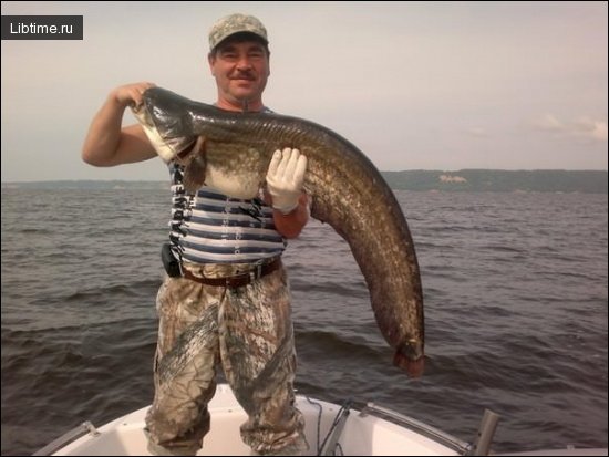 Tips for the recreational angler