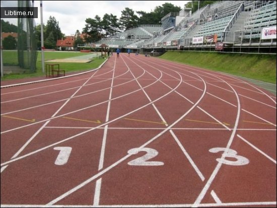 Main sports