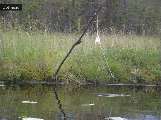 Fishing rod in the summer over the water