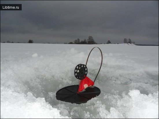 Pike fishing in winter