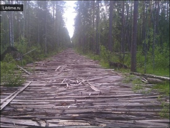 Lumberjack Road