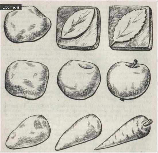 Modeling of leaves, vegetables and fruits from nature