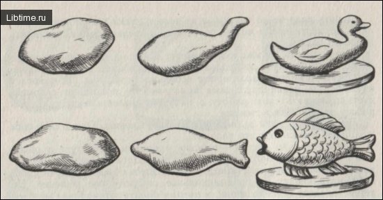 Modeling birds and fish from life