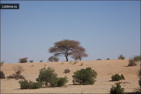Desert near Timbuktu